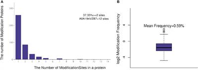 Comprehensive acetyl-proteomic analysis of Cytospora mali provides insight into its response to the biocontrol agent Bacillus velezensis L-1